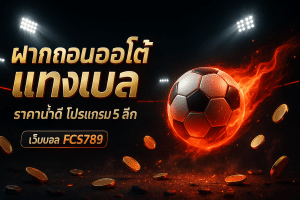 ฝากถอน ออโต้ แทงบอล