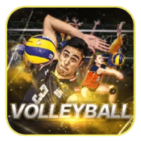 VOLLEYBALL