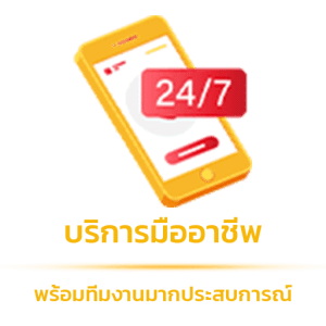 บริการมืออาชีพ